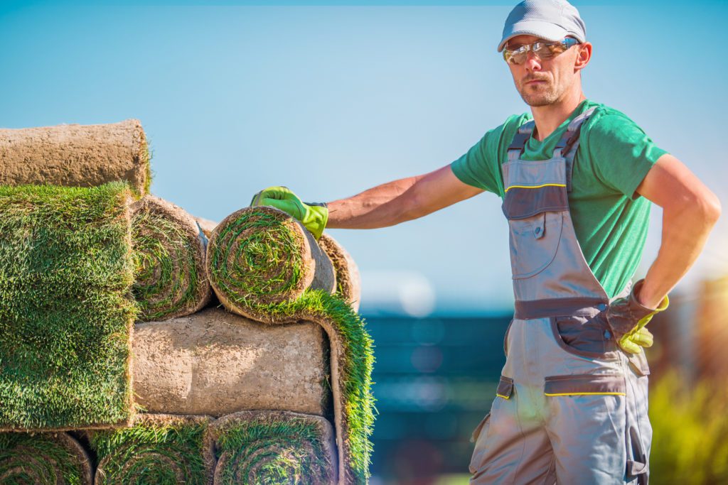 Grass installer next to sheets of grass